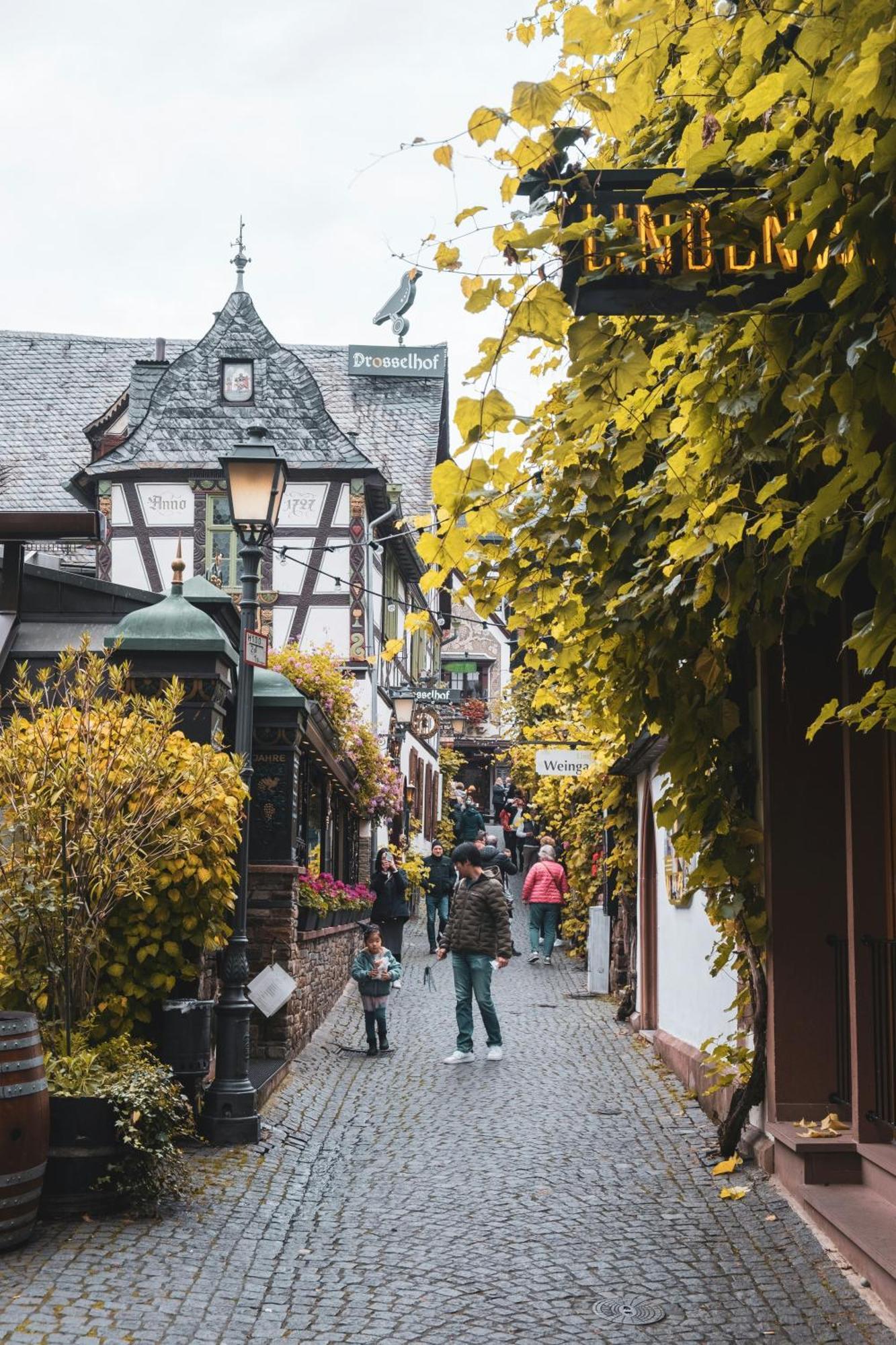 Hotel Zur Loreley - Garni Sankt Goar Exterior photo